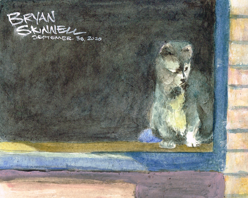 My watercolor painting of a cat looking through the window. Painted by artist Bryan Skinnell.